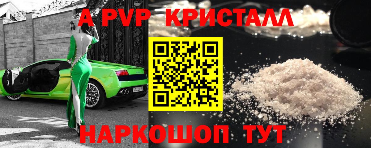 A PVP СК КРИС Бердск