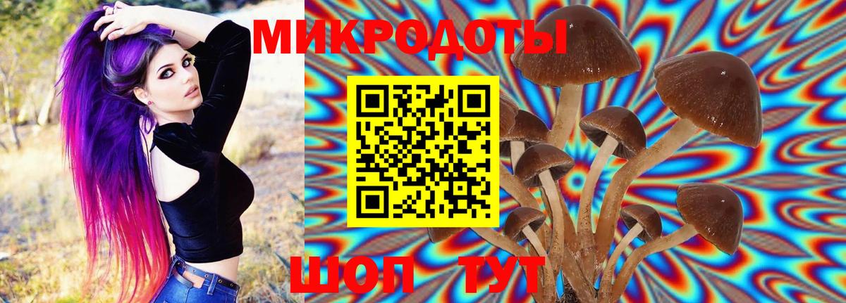 Бердск  дарнет шоп  Вход с VPN  Галлюциногенные грибы прущие грибы 