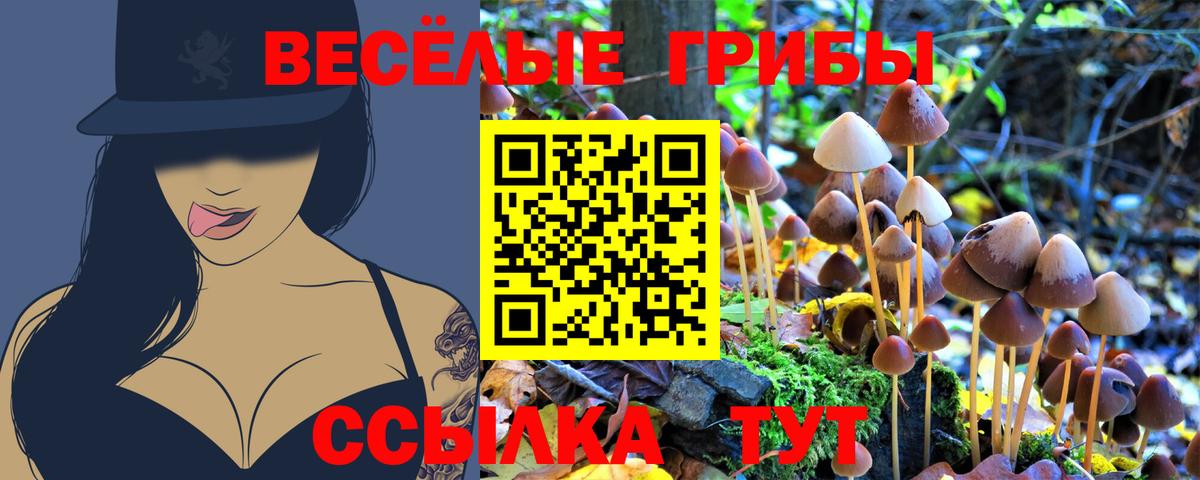 Галлюциногенные грибы MAGIC MUSHROOMS Бердск